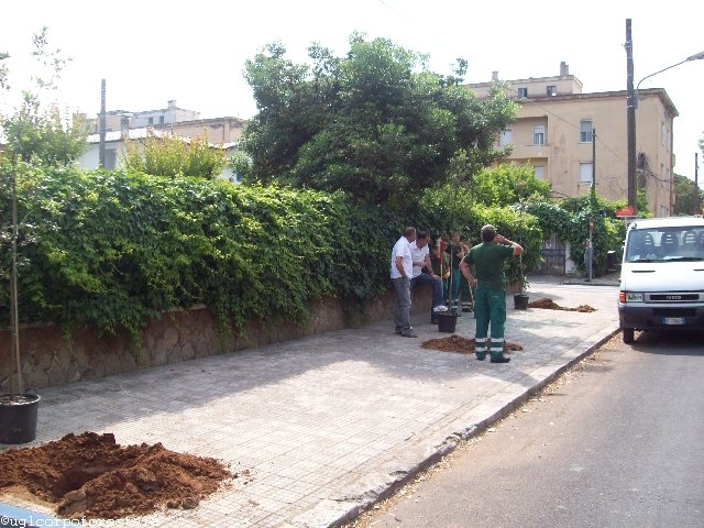 23 maggio 2011 Sabaudia: Il Verde è Vita